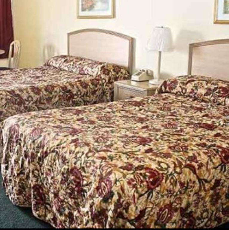 莫比尔 美国乡村家庭旅馆 - 摩拜酒店 客房 照片